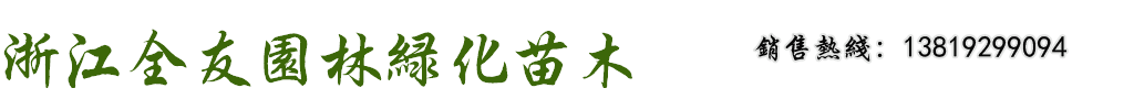 黃山欒樹